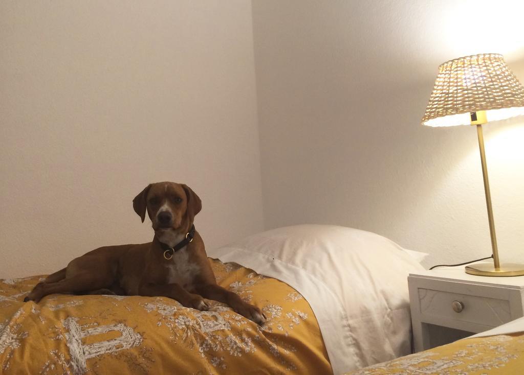 Inn Golegã Oda fotoğraf